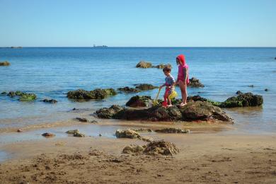 Sandee - Coldingham Bay Beach