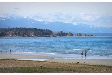 Sandee Qualicum Beach