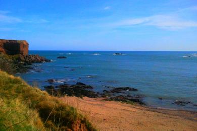 Sandee - Eyemouth Beach