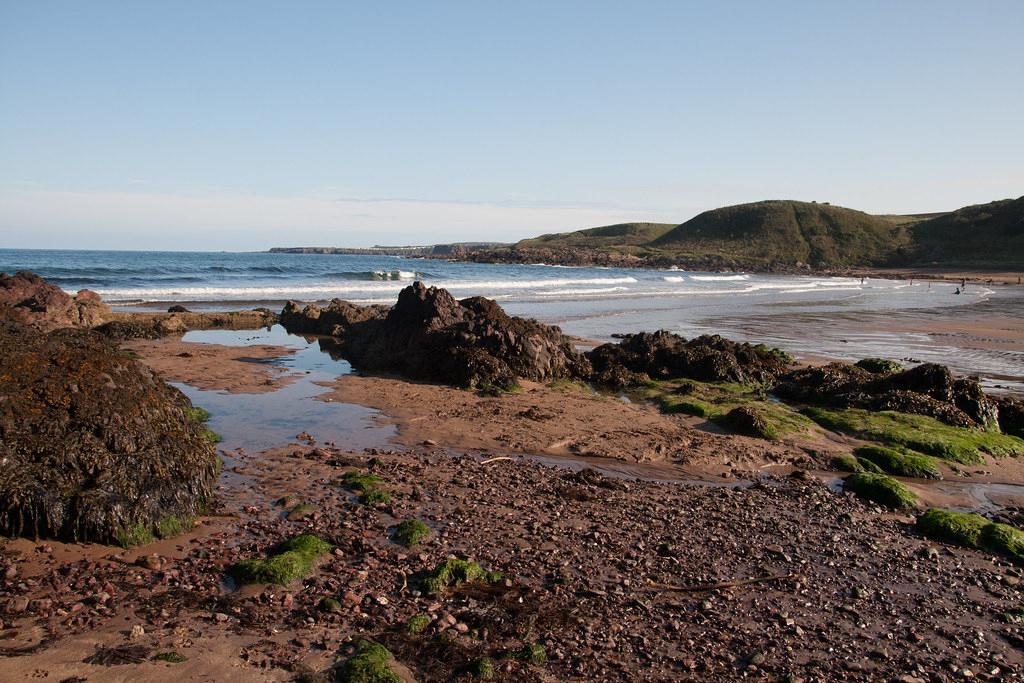 Sandee - Coldingham Bay Beach