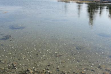 Sandee - Rathtrevor Beach Provincial Park