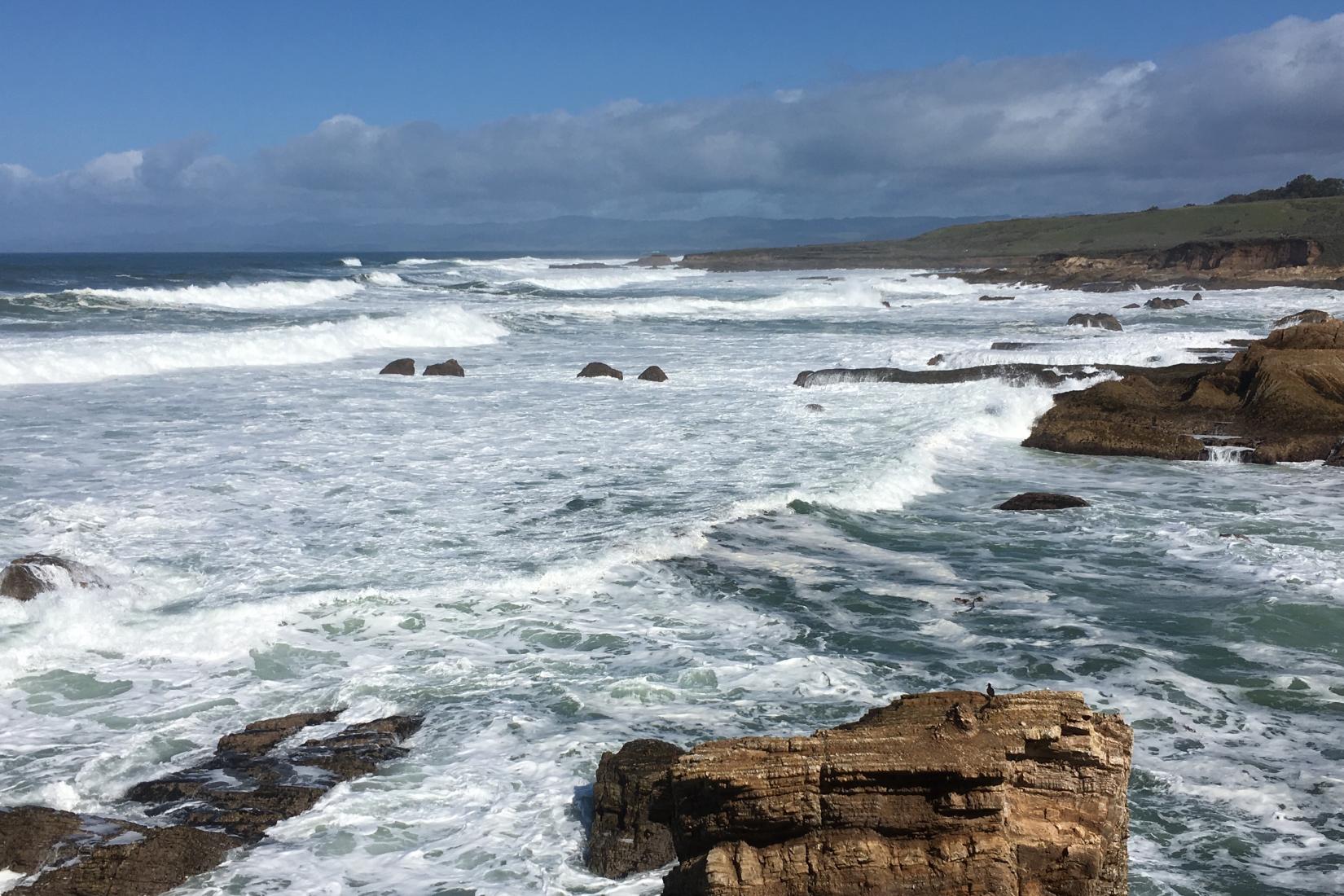 Sandee - Montana De Oro State Park