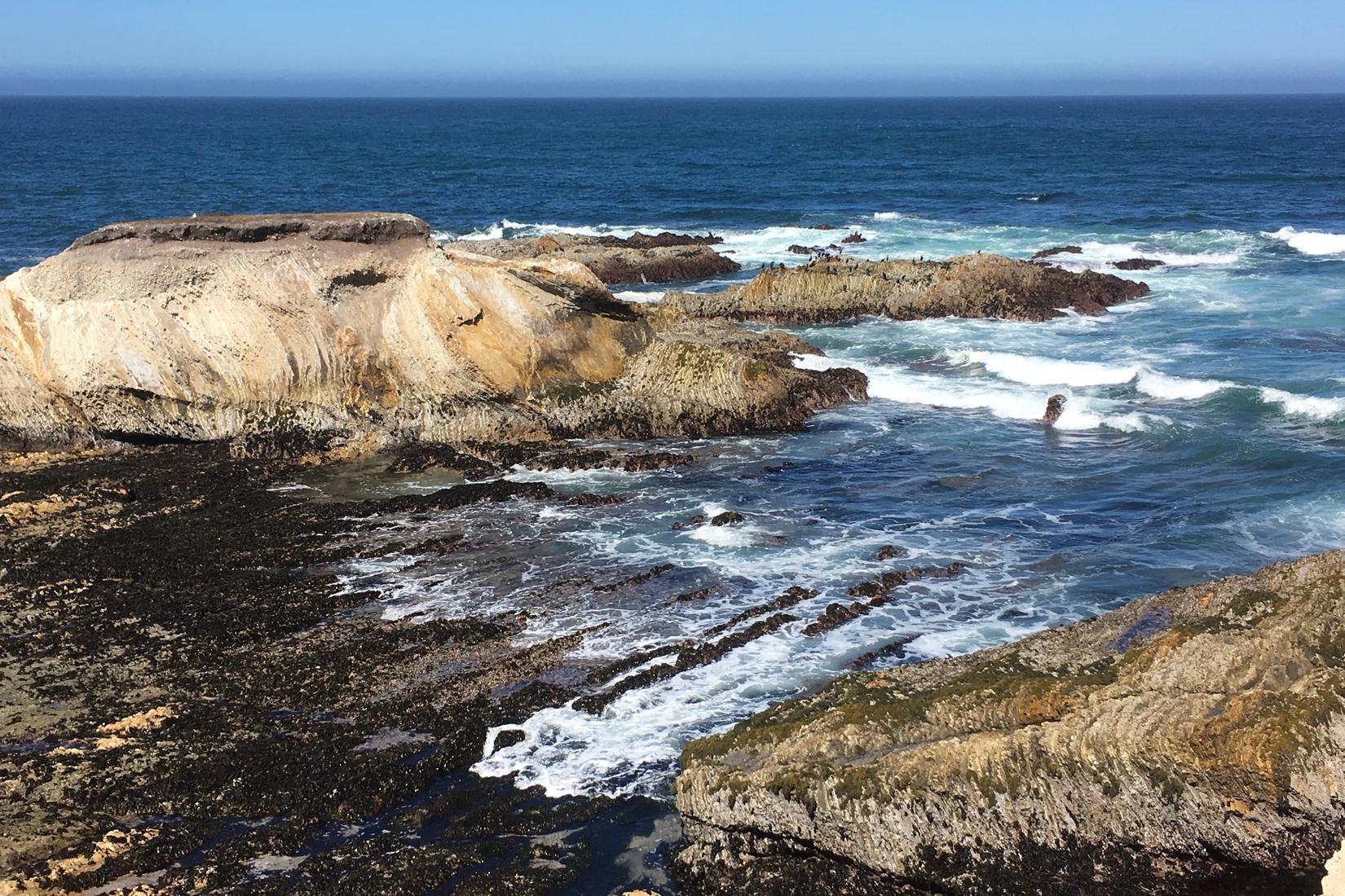 Sandee - Montana De Oro State Park