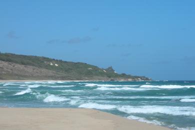 Sandee Morgan Lewis Beach