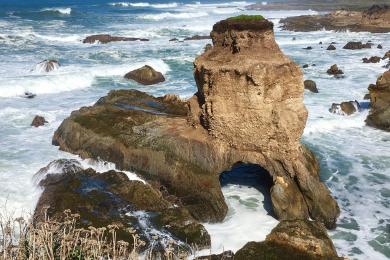 Sandee - Montana De Oro State Park