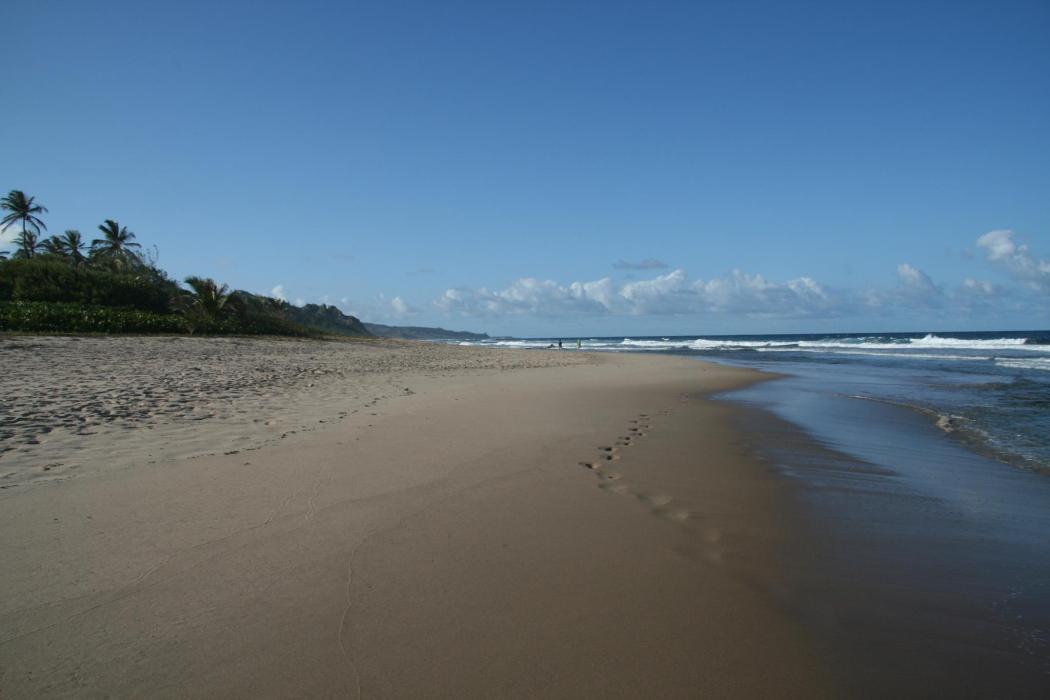 Sandee Cattlewash Beach