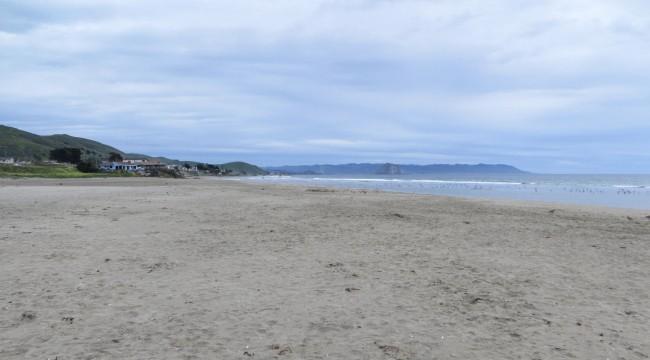 Sandee Morro Strand State Beach - North Beach