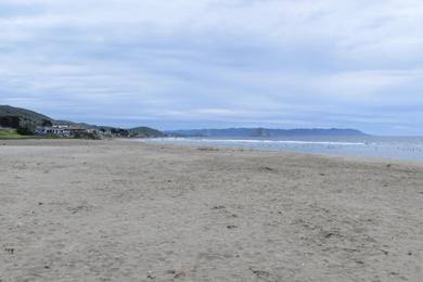 Sandee Morro Strand State Beach - North Beach Photo