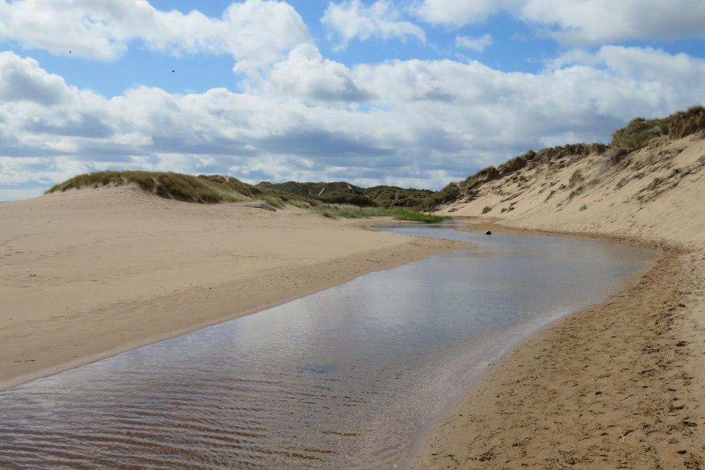 Sandee - Balmedie Beach