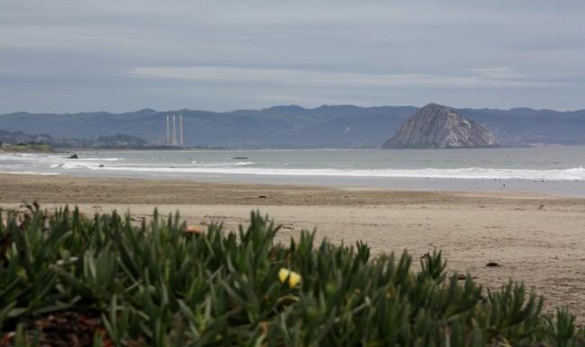 Sandee - Morro Strand State Beach - North Beach