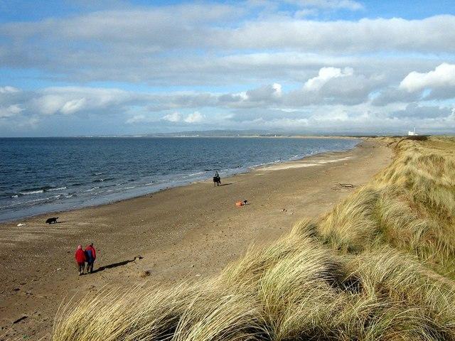 Sandee - Barassie Beach