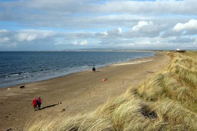 Sandee Barassie Beach