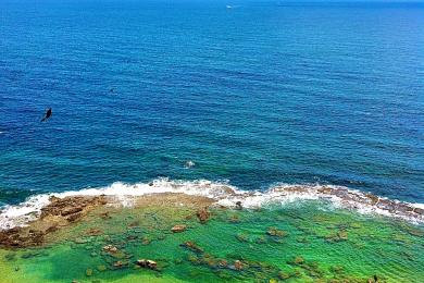 Sandee - Praia Da Morro Do Sao Paulo