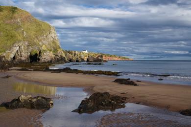 Sandee - St Cyrus Beach