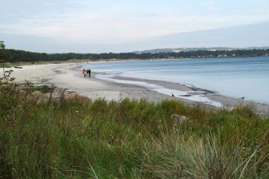 Sandee Balka Strand Photo