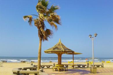 Sandee Ras El Bar Beach Photo