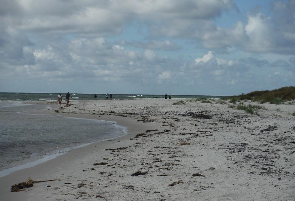 Sandee Dueodde Beach Photo