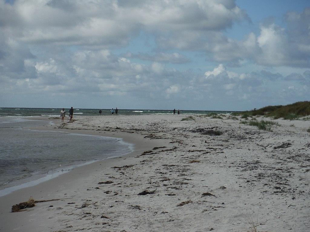 Sandee - Dueodde Beach