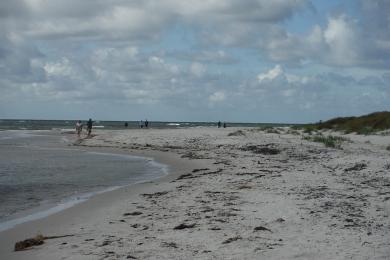 Sandee Dueodde Beach Photo