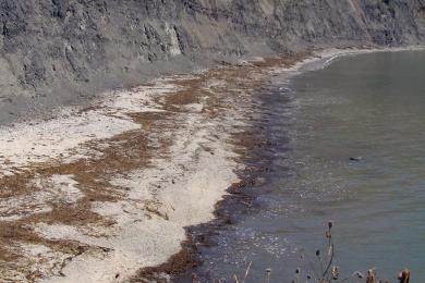 Sandee - Egmont Bight Beach