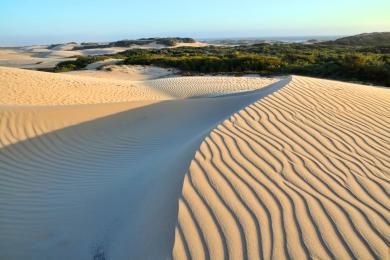 Sandee Oceano Dunes State Recreational Area / Guadalupe Dunes Photo