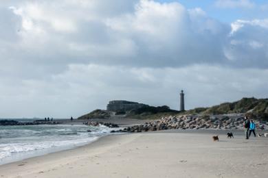 Sandee - Skagen Strand