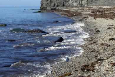 Sandee - Egmont Bight Beach