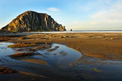 Sandee - Morro Bay State Park