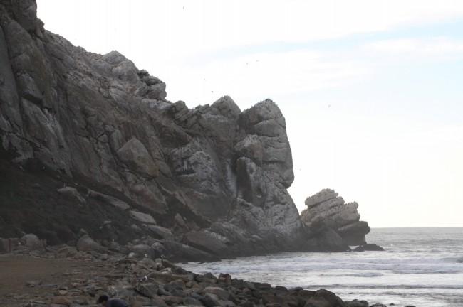 Sandee - Morro Bay State Park