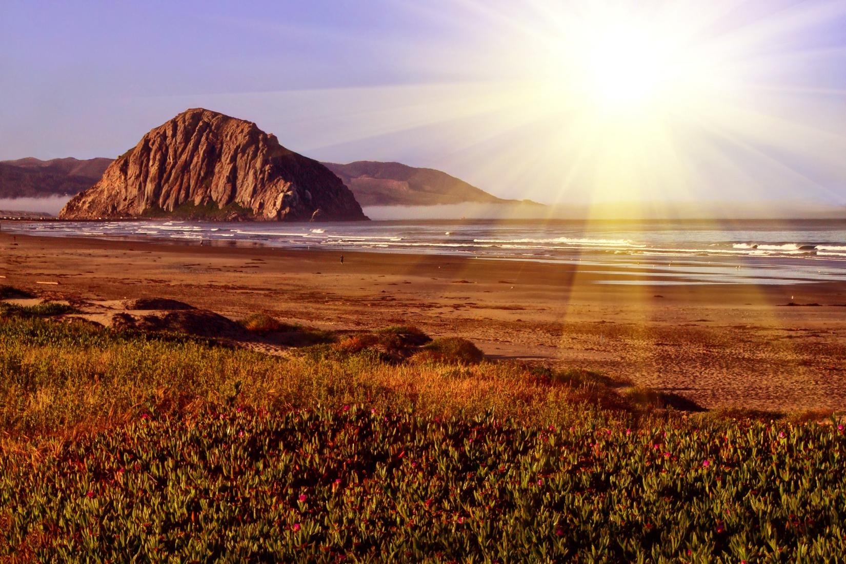 Sandee - Morro Bay State Park