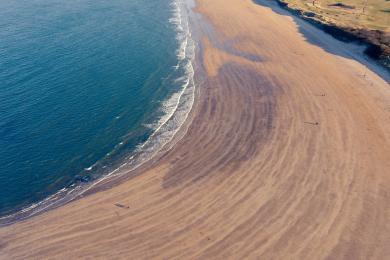 Sandee Yellowcraig Beach Photo