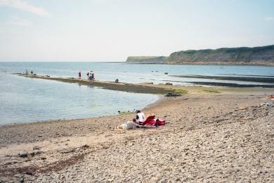 Sandee - Kimmeridge Bay Beach