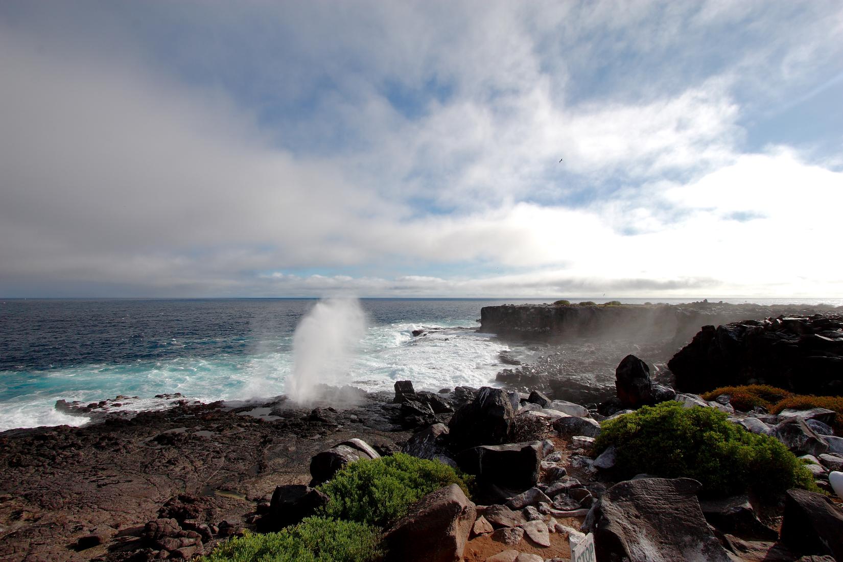 Sandee - Espanola Island