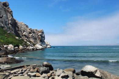 Sandee - Morro Bay State Park