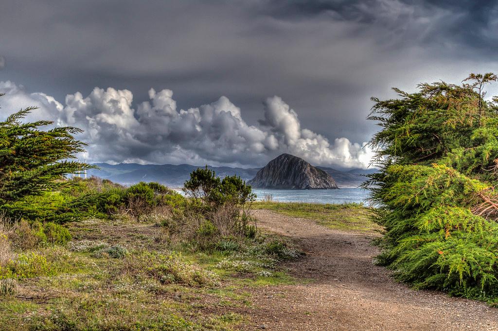 Sandee - Morro Bay State Park