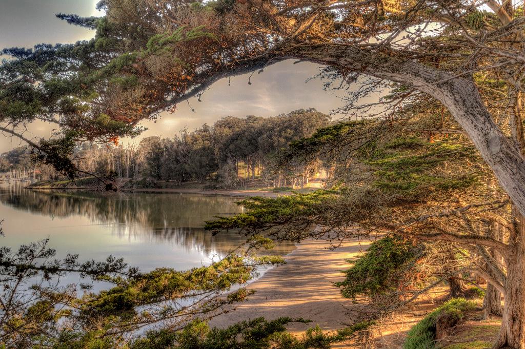 Sandee - Morro Bay State Park