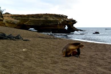 Sandee - Santiago Island