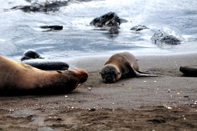 Sandee - Santiago Island