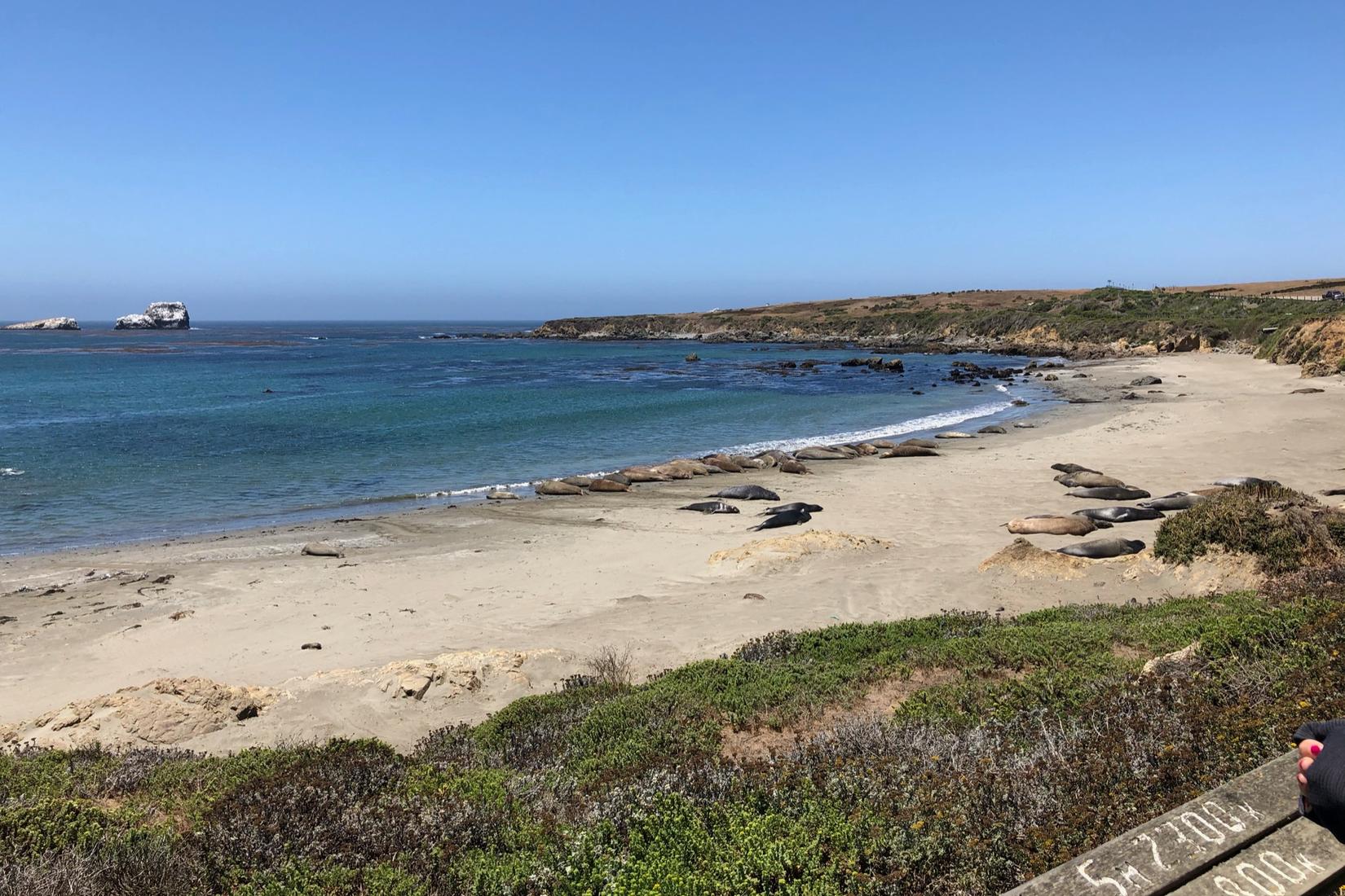 Sandee - San Simeon State Beach