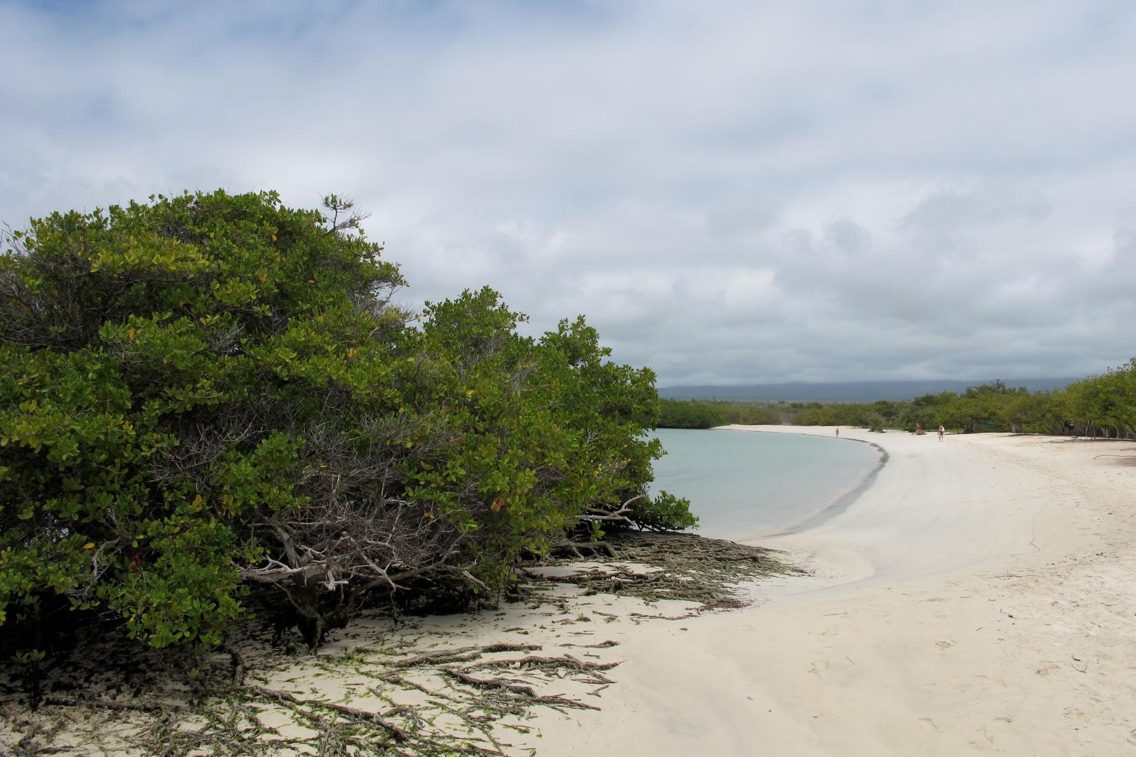 Sandee - Tortuga Bay