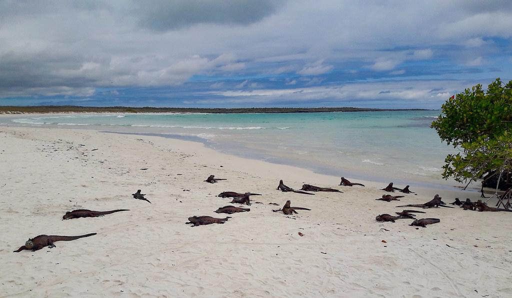 Sandee - Tortuga Bay