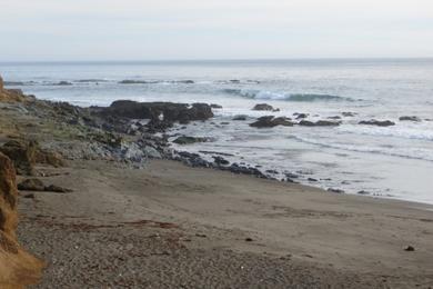 Sandee - San Simeon State Beach