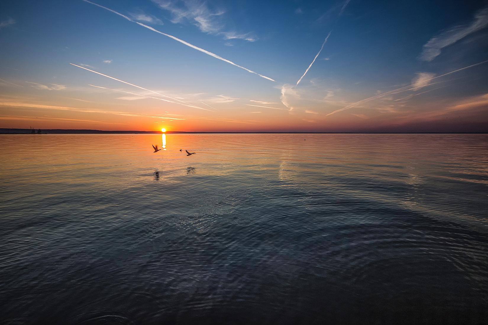 Sandee - HomePage / Balatonalmadi