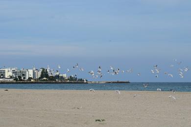 Sandee Saturn Beach Photo