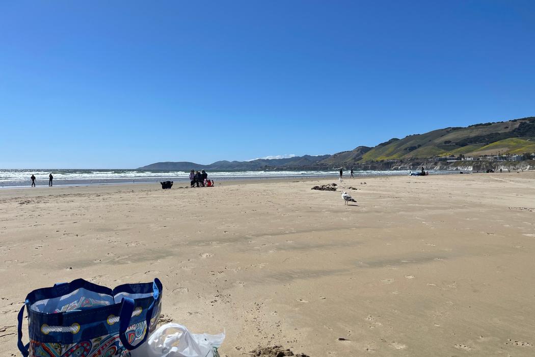 Sandee Pismo State Beach - North Beach Photo