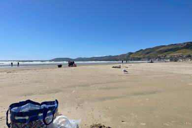 Sandee Pismo State Beach - North Beach