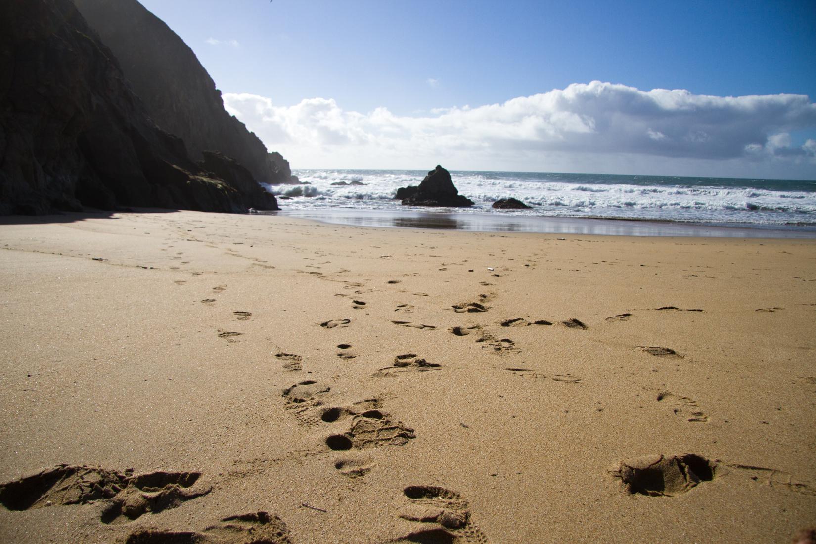 Sandee - Gray Whale Cove State Beach