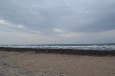 Sandee - Troon South Sands Beach