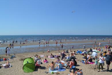 Sandee - Heads Of Ayr Beach