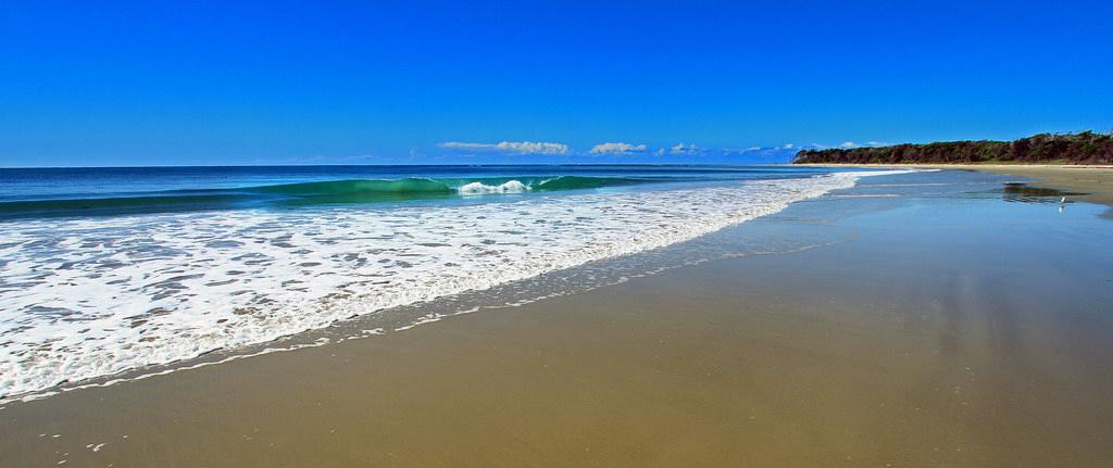 Sandee - Beaumaris Beach